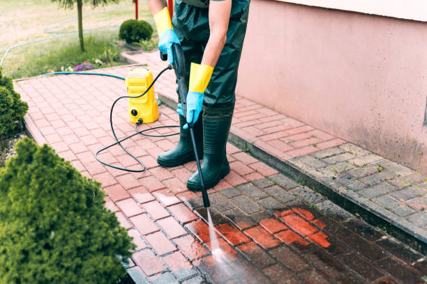Best Solar Panel Cleaning  in Center Hill, FL